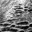 Zodiac Project : Spellblinder